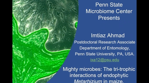 Thumbnail for 2020 FEB 14 Mighty microbes: The tri-trophic interactions of endophytic Metarhizium in maize