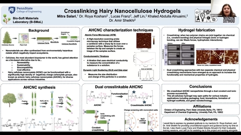 Thumbnail for Crosslinking Hairy Nanocellulose Hydrogels