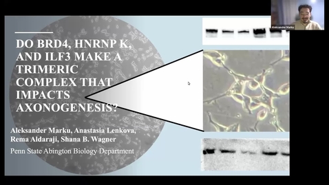 Thumbnail for Do BRD4, hnRNP K, and ILF3 Make a Trimeric Complex that Impacts Axonogenesis?