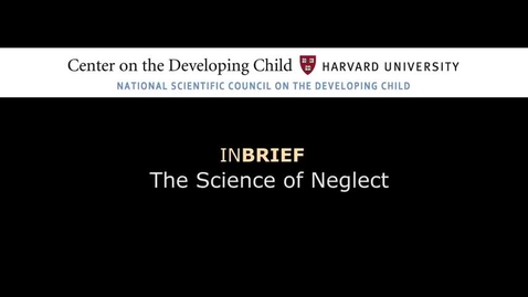 Thumbnail for InBrief The Science of Neglect.mp4