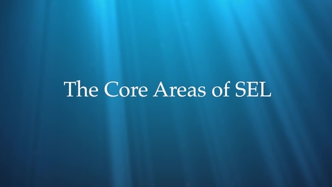 Thumbnail for V1 The Core Areas of SEL AUG21