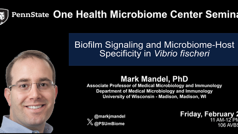 Thumbnail for entry Biofilm Signaling and Microbiome-Host Specificity in Vibrio fischeri | Mark Mandel, PhD, (UW)