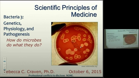 Thumbnail for entry Bacteria 3 - Bacterial Physiology and Pathogenesis