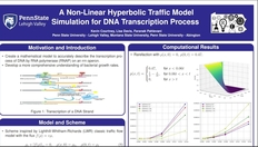 Go to A Non-Linear Hyperbolic Traffic Model Simulation for DNA Transcription Process with duration: 8 minutes, 43 seconds