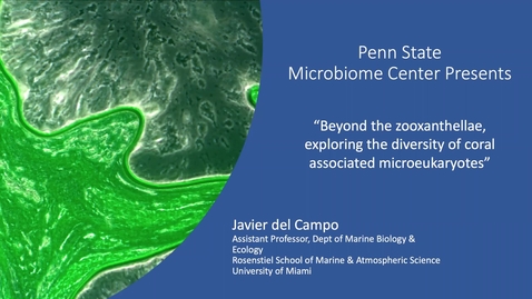 Thumbnail for 2020 AUG 08 Beyond the zooxanthellae, exploring the diversity of coral associated microeukaryotes