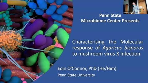 Thumbnail for 2022 APR 01 Characterizing the molecular response of Agaricus bisporus to mushroom virus X infection