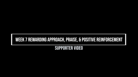 Thumbnail for Week 7 Rewarding Approach, Praise, and Positive Reinforcement, Supporter