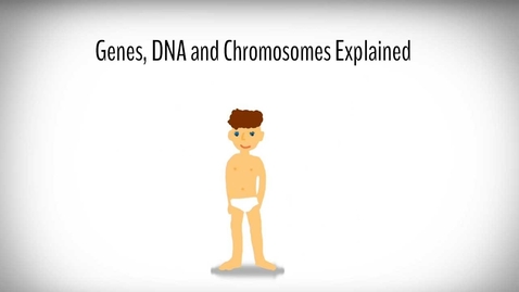 Thumbnail for Genes, DNA and Chromosomes explained