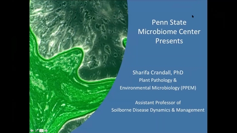 Thumbnail for entry 2020 APRIL 04 Fungal Dynamics, Diversity, and Function to Improve Plant Health 