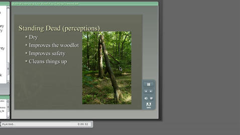 Thumbnail for Improving Woodlot - Firewood