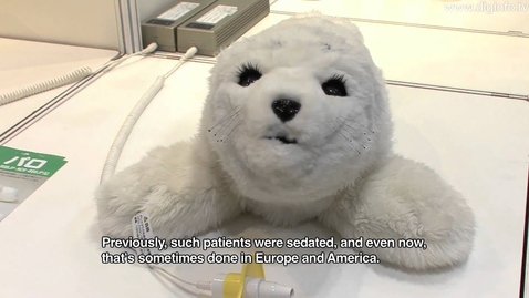 Thumbnail for Cute Baby Seal Robot - PARO Theraputic Robot #DigInfo