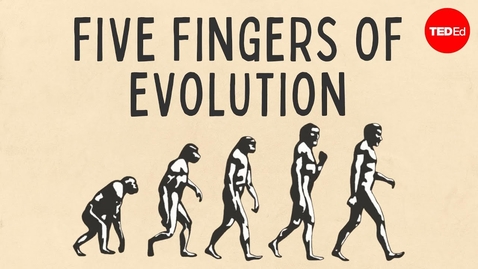 Thumbnail for Five Fingers of Evolution - Paul Andersen
