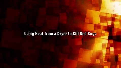Thumbnail for Bed bugs
