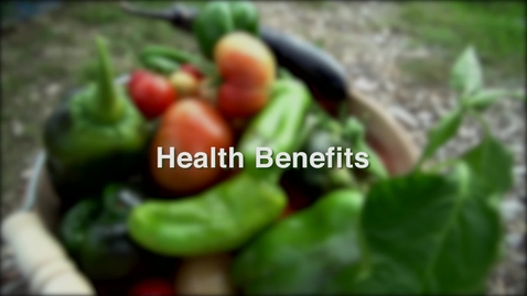 Thumbnail for FreshHarvest1Screen5