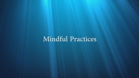Thumbnail for MINDFULNESS v4 APR11