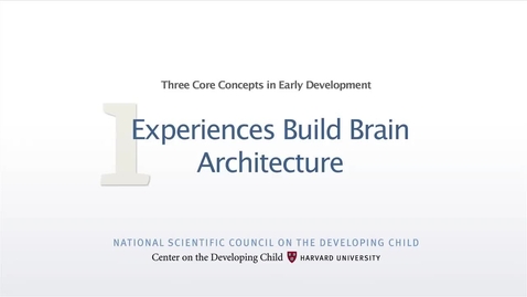 Thumbnail for 1._Experiences_Build_Brain_Architecture_(Source)