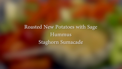 Thumbnail for Ethnic Food Exploration v3 APR25