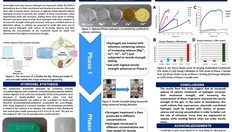 Go to Increasing the Strength of Sodium-Alginate Polyacrylamide Hydrogels Using Multivalent Cationic Treatments with duration: 10 minutes, 5 seconds