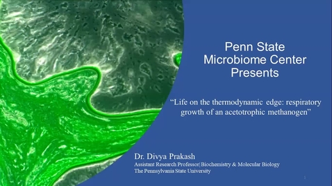 Thumbnail for 2020 NOV 13 Life on the thermodynamic edge: respiratory growth of an acetotrophic methanogen