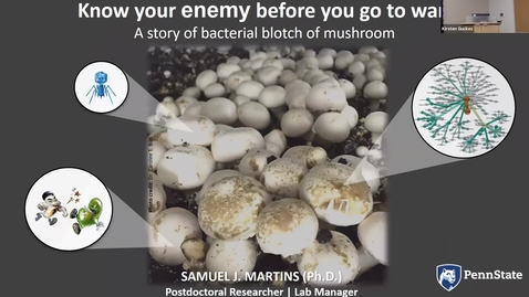 Thumbnail for 2019 SEPT 20 Know your enemy before you go to war: a story of bacterial blotch of mushroom