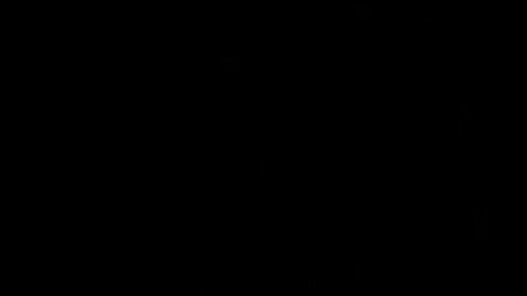 Thumbnail for Afro-American Art of the 1960s (part two)