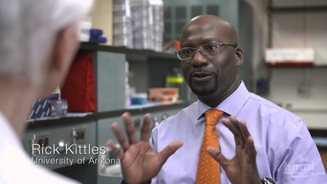 Thumbnail for The Biology of Skin Color — HHMI BioInteractive Video