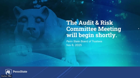 Thumbnail for Audit and Risk Committee
