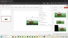 Go to Add Alt Text to Images in PowerPoint Online with duration: 23 seconds