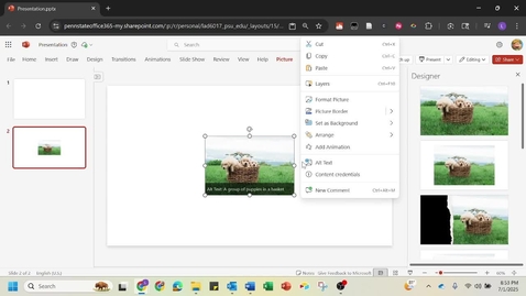 Thumbnail for Add Alt Text to Images in PowerPoint Online