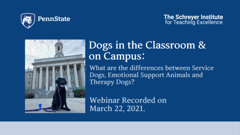 Thumbnail for entry Dogs in the Classroom and on Campus