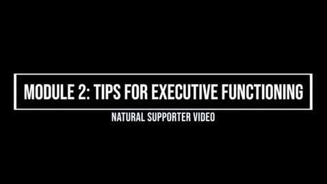 Thumbnail for entry Module 2: Tips for Executive Functioning - Natural Supporter