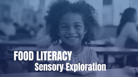 Thumbnail for V3 - Sensory explanation