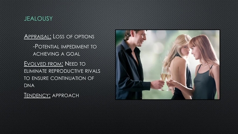 Thumbnail for CAS302_L09_05_Negative_Discrete_Emotions_Part5