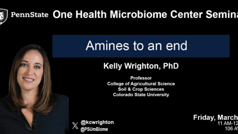 Thumbnail for The unseen carbon cycle: Amines to an end | Kelly Wrighton, Colorado State University