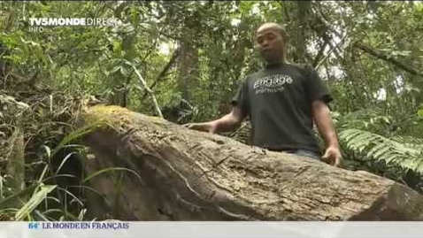 Thumbnail for « Préserver la Biodiversité en danger »,  un reportage dans le Parc National d’Andasibe