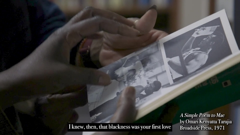 Thumbnail for Curating Black Visual Culture: The Making of an Exhibition