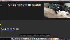 Go to Cropping Photos in iMovie with duration: 47 seconds