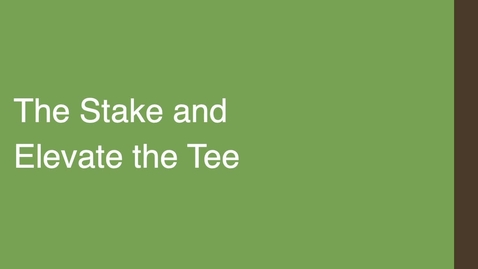 Thumbnail for entry The Stake and Elevate the Tee