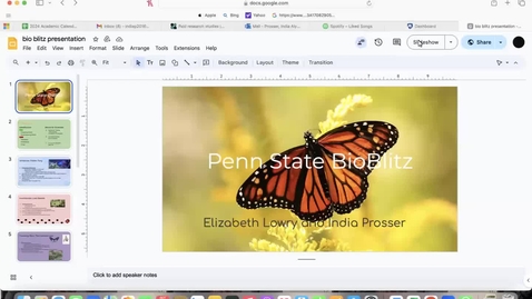 Thumbnail for BioBlitz Presentation by Elizabeth and India 
