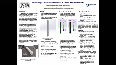 Thumbnail for entry Discovering the Mechanical Properties of Spicule Inspired Structures