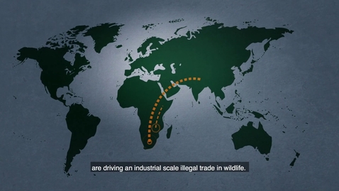 Thumbnail for CJPA831_L08_01_EU_project_wildlife_crime
