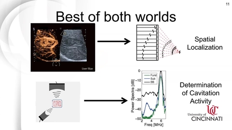Thumbnail for CAV Seminar: Dr. Kevin Haworth, Imaging the Sound of Therapy: From Acoustic Emissions to Cavitation Map