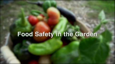 Thumbnail for FreshHarvest6Screen15