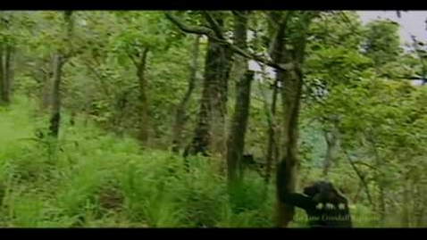 Thumbnail for Displays