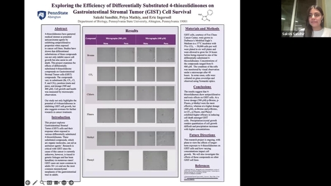 Thumbnail for Exploring the Efficacy of Differentially Substituted 4-thiozolidinones on Gastrointestinal Stromal Tumor (GIST) Cell Survival