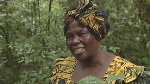 Thumbnail for Wangari Maathai Tribute Film