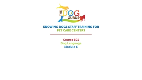 Thumbnail for entry CAIS - Canines 1 - Supplemental Module - Dog Language Module 6