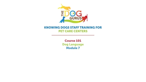 Thumbnail for entry CAIS - Canines 1 - Supplemental Module - Dog Language Module 7