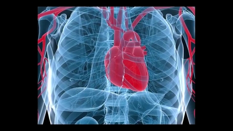 Thumbnail for Michelle Knowles: Cardiovascular Disease Research