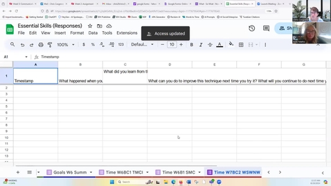 Thumbnail for Google Sheets Training for Mentors